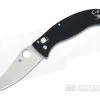 Spyderco D'Allara 3 Ball Bearing Lock G-10 Folder C82GP3