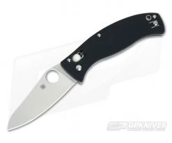 Spyderco D'Allara 3 Ball Bearing Lock G-10 Folder C82GP3